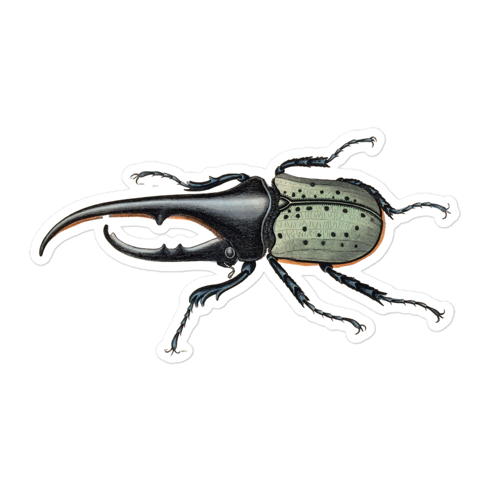Hercules Beetle by W.H. Lizars 19th Century Engraving Kiss-cut Sticker