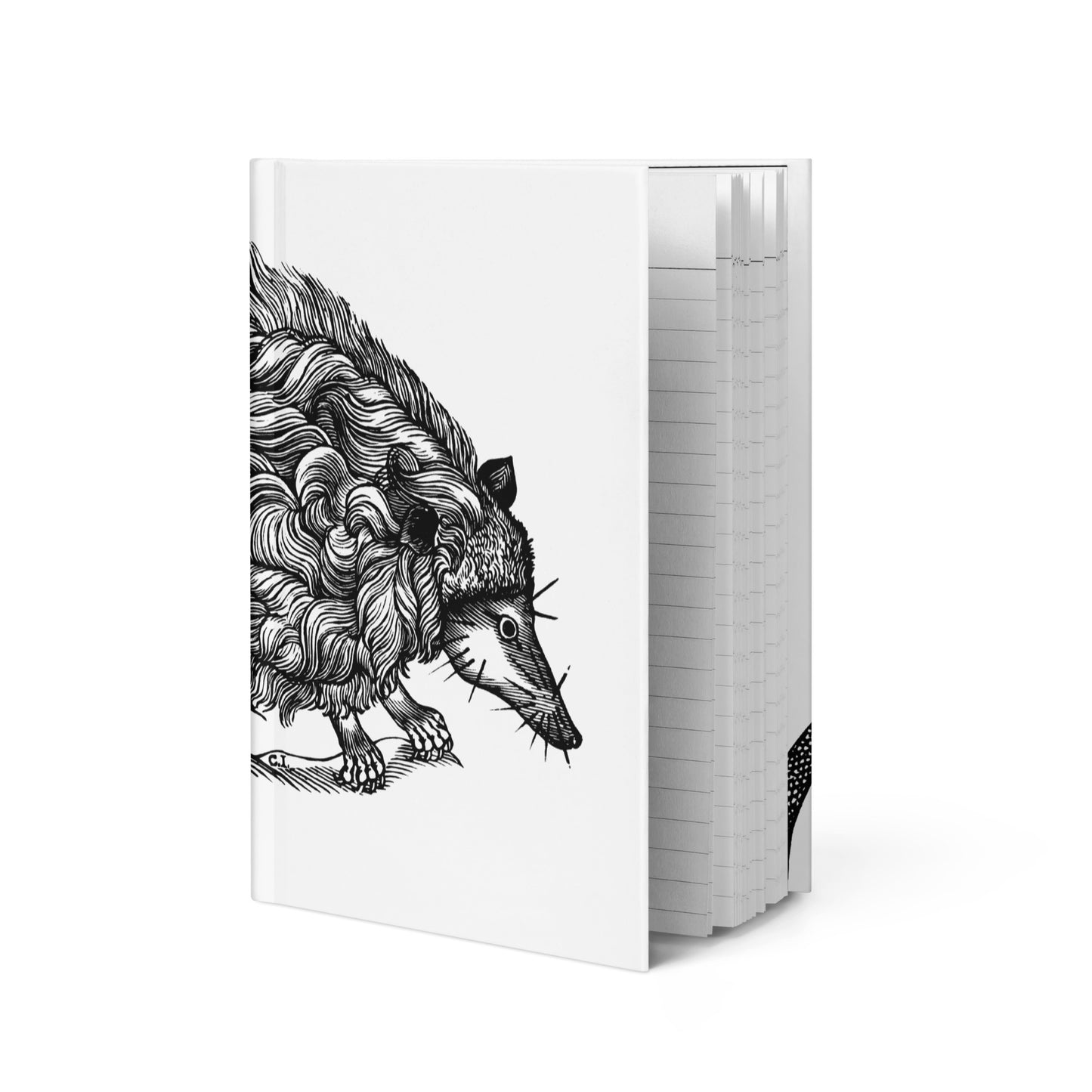 Animal Kingdom! Opossum by Christoffel Jegher 1635 Hardcover journal matte