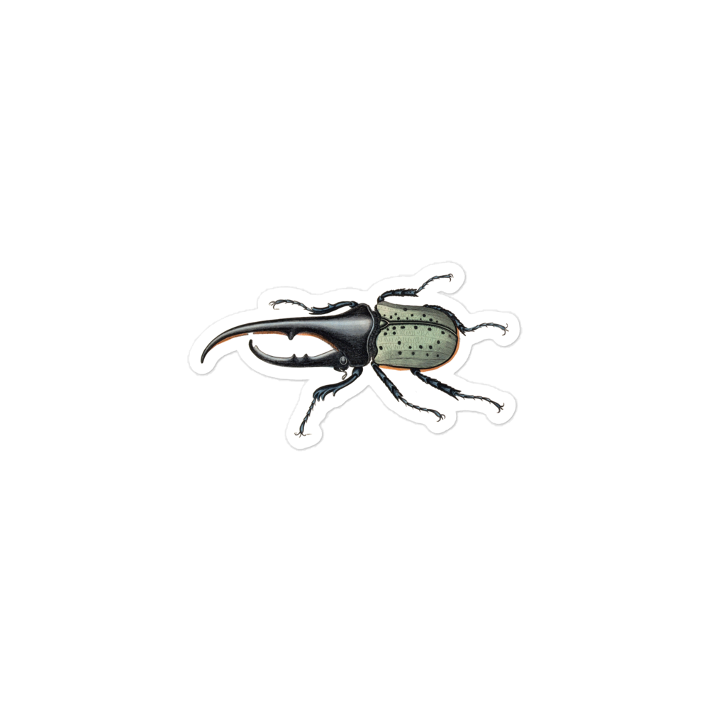 Hercules Beetle by W.H. Lizars 19th Century Engraving Kiss-cut Sticker