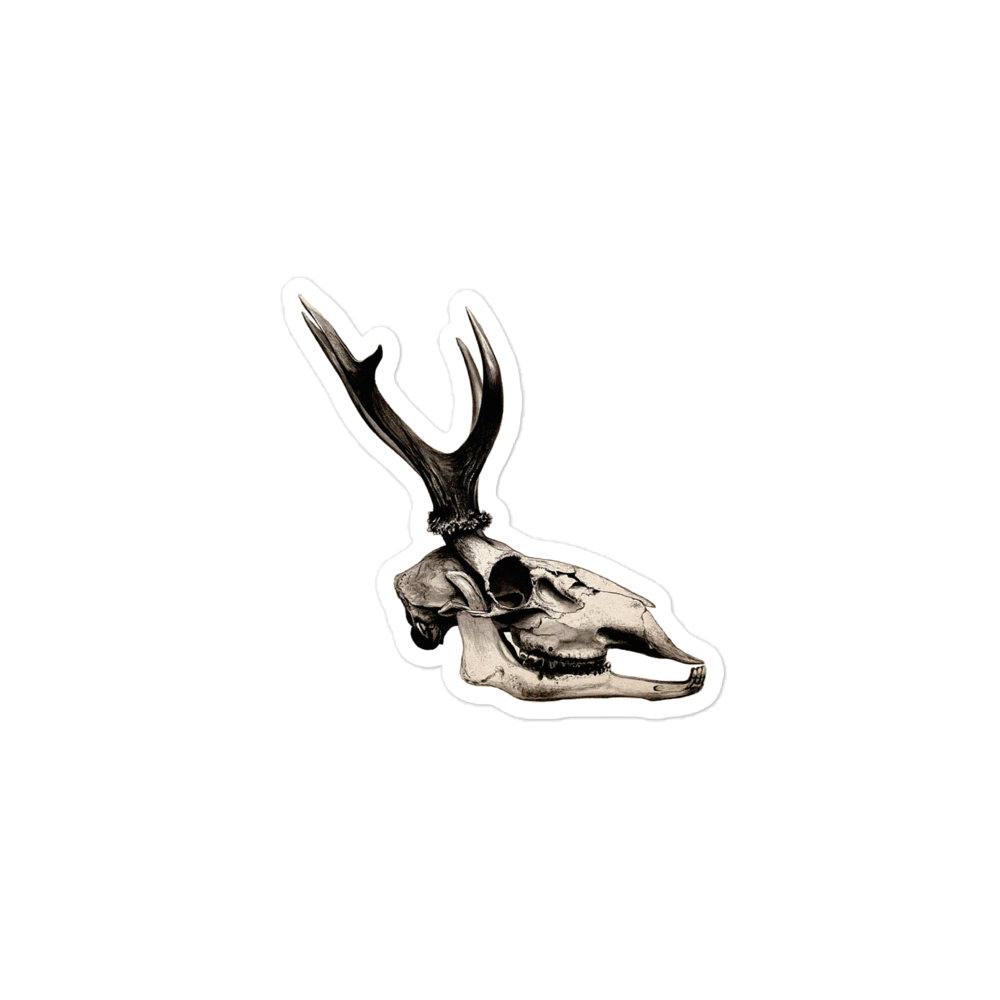 Stag's Skull in Profile (1904) Kiss-cut Sticker