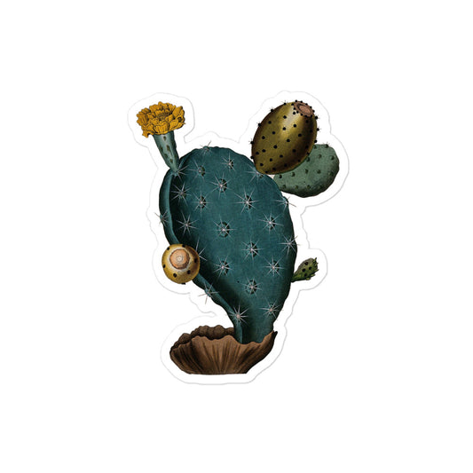 Prickly Pear Cactus, Flowering and Fruiting, Ihle Illustration 1800 Kiss-cut Sticker