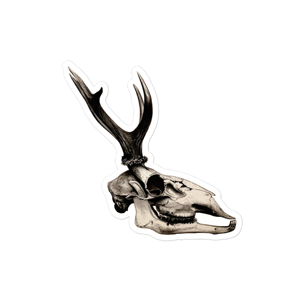Stag's Skull in Profile (1904) Kiss-cut Sticker