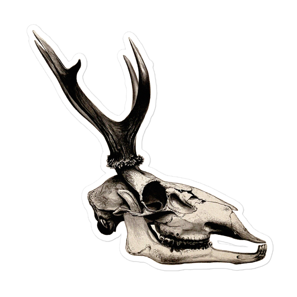 Stag's Skull in Profile (1904) Kiss-cut Sticker