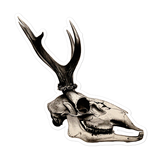 Stag's Skull in Profile (1904) Kiss-cut Sticker